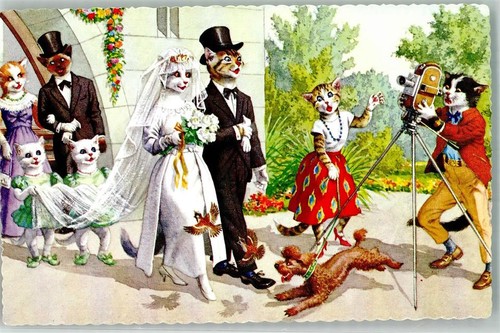 10733588 katze hochzeit - -,